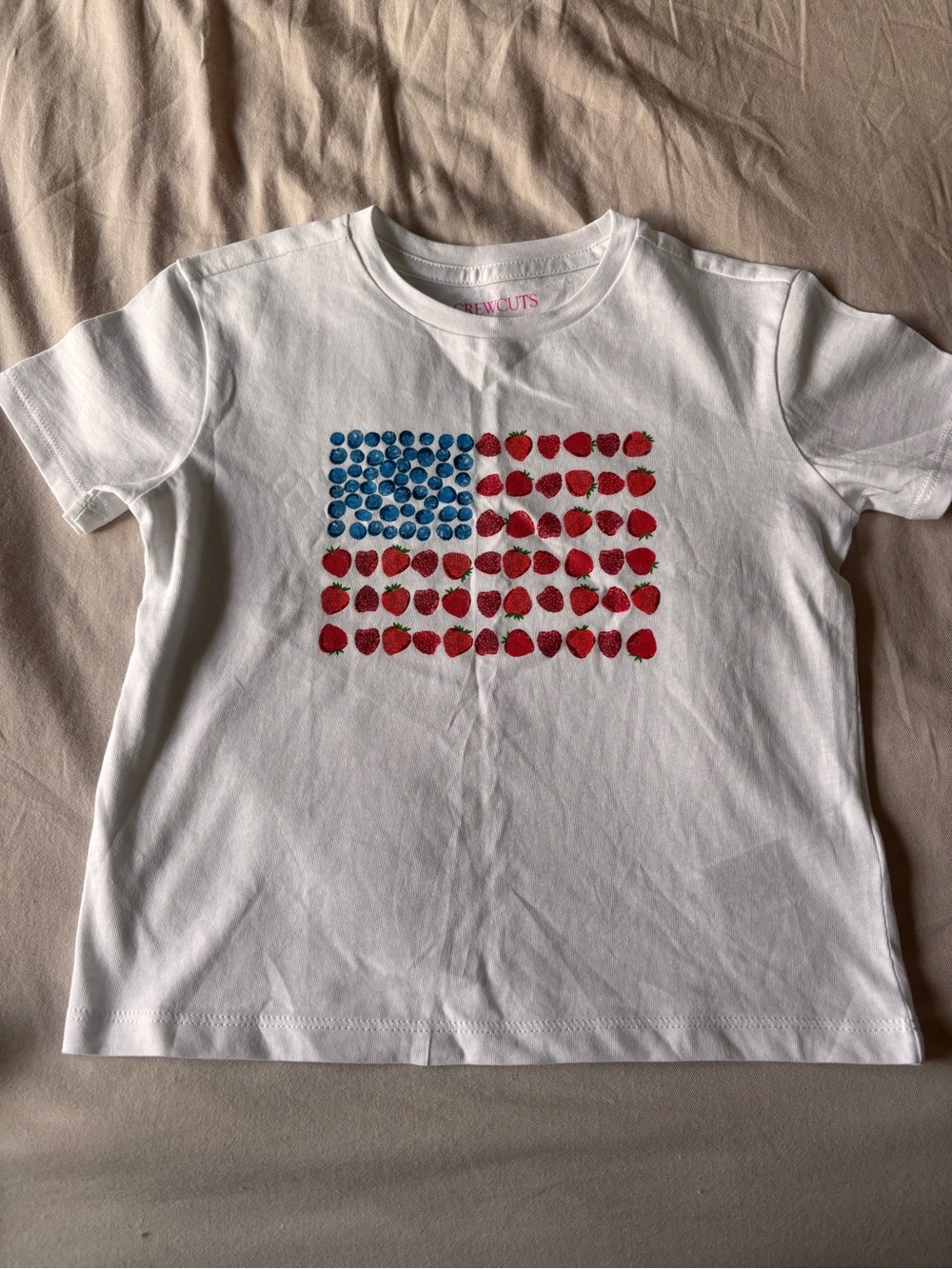 J. Crew White Kids Short Sleeve Tee with Blue and Red Fruit Flag Print
